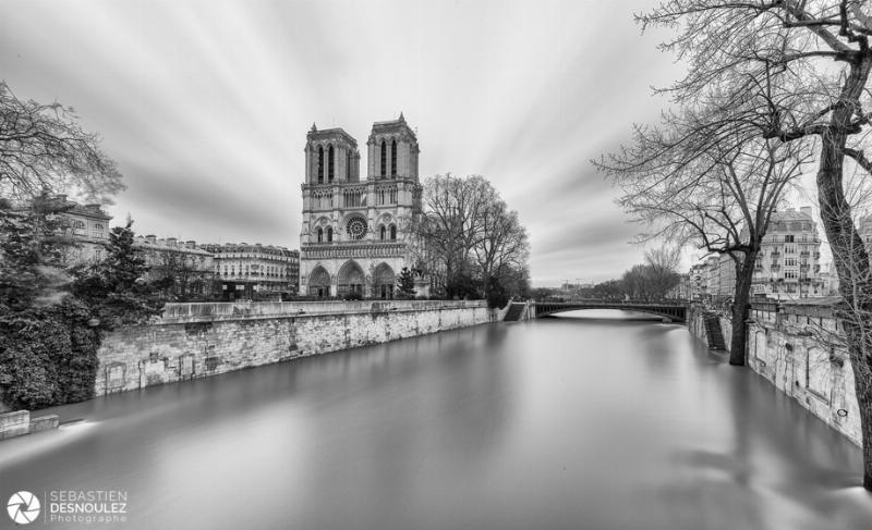 Photographe Notre-Dame de Paris au lever du soleil sur la Seine, ambiance dorée et reflets